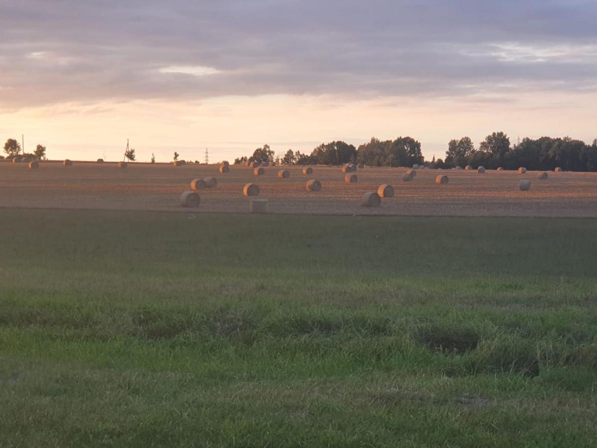 Anni'S Waldblick Daire Burgstadt Dış mekan fotoğraf