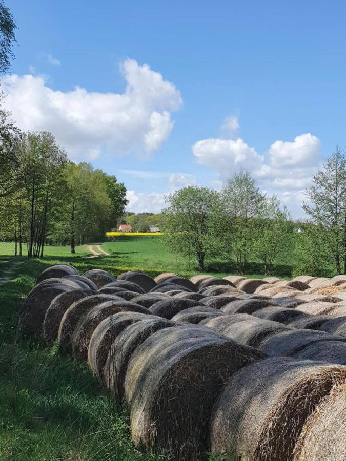 Anni'S Waldblick Daire Burgstadt Dış mekan fotoğraf